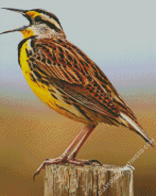 The Meadowlark Bird Diamond Paintings