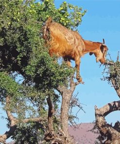 Tree Goat Animal Diamond Paintings