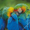 Two Parrots In Jungle Green With Blue Diamond Paintings