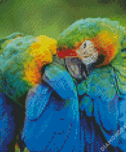 Two Parrots In Jungle Green With Blue Diamond Paintings