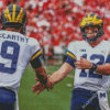 University Of Michigan American Football Team Diamond Paintings