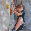 Wall Climber Diamond Paintings