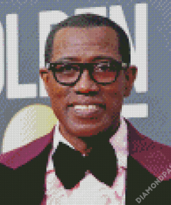 Wesley Snipes Diamond Paintings