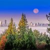 Aesthetic Burnaby Moon Diamond Paintings