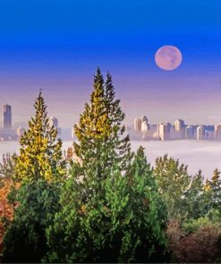 Aesthetic Burnaby Moon Diamond Paintings