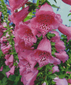 Aesthetic Foxglove Diamond Paintings