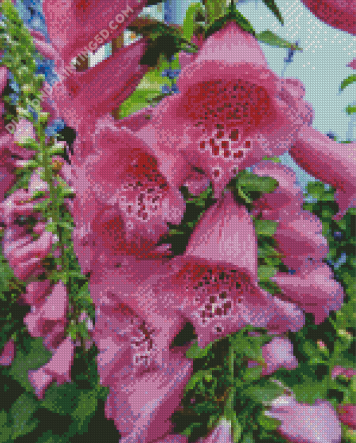 Aesthetic Foxglove Diamond Paintings