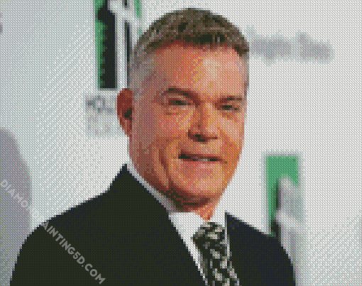 Aesthetic Ray Liotta Actor Diamond Paintings