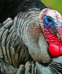 Aesthetic Wild Turkey Bird Diamond Paintings