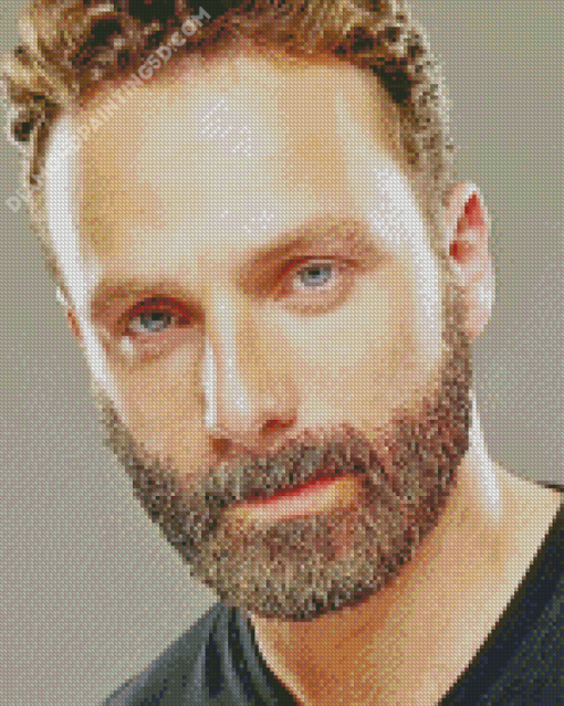 Aesthetic Andrew Lincoln Diamond Paintings