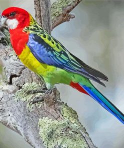 Aesthetic Eastern Rosella Diamond Paintings