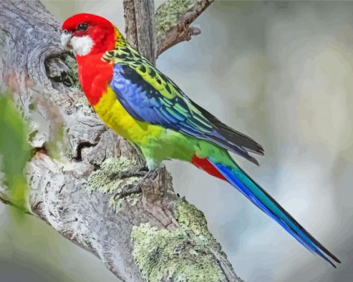 Aesthetic Eastern Rosella Diamond Paintings