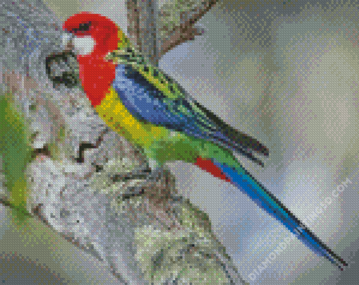 Aesthetic Eastern Rosella Diamond Paintings