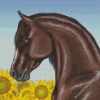 Aesthetic Horse With Sunflowers Diamond Paintings