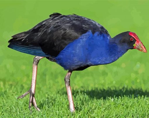 Aesthetic Pukeko Diamond Paintings