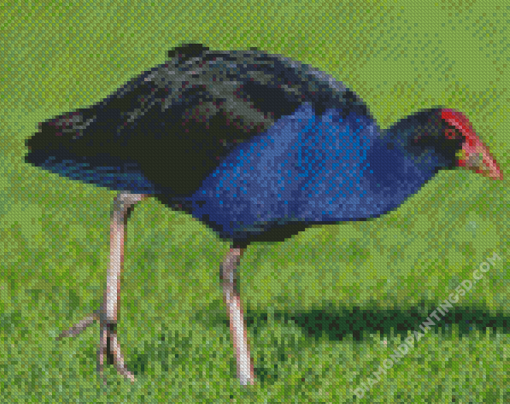 Aesthetic Pukeko Diamond Paintings