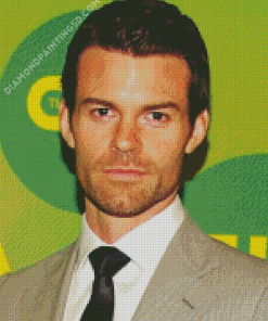 Aesthetic The Actor Daniel Gillies Diamond Paintings