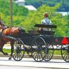 Amish Buggy Diamond Paintings