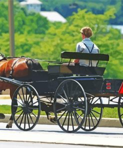 Amish Buggy Diamond Paintings