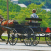 Amish Buggy Diamond Paintings