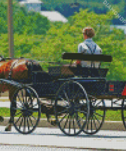 Amish Buggy Diamond Paintings