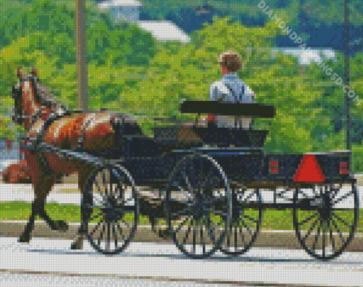 Amish Buggy Diamond Paintings