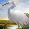 Beautiful White Heron Diamond Paintings