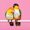 Caique Birds Couple Diamond Paintings