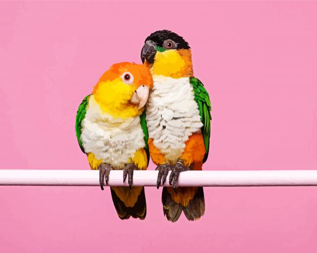 Caique Birds Couple Diamond Paintings