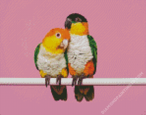 Caique Birds Couple Diamond Paintings