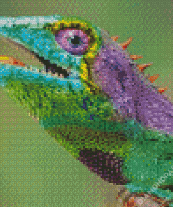 Colorful Bearded Dragon Diamond Paintings