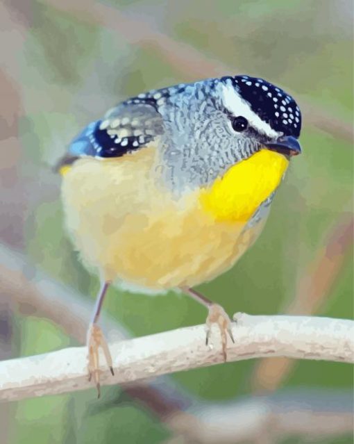 Cool Pardalote Diamond Paintings