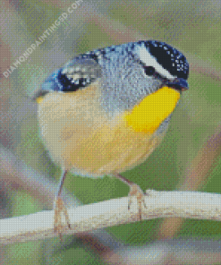 Cool Pardalote Diamond Paintings