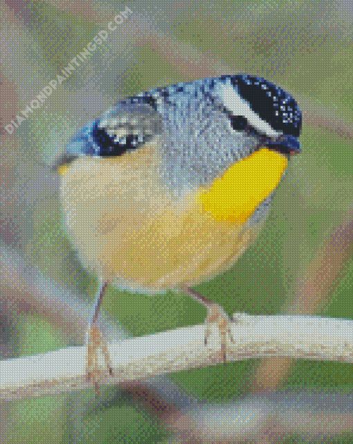 Cool Pardalote Diamond Paintings