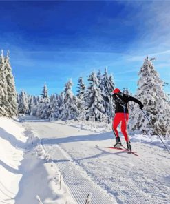 Cross Country Skiing Diamond Paintings