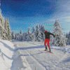 Cross Country Skiing Diamond Paintings