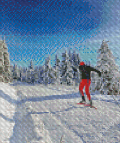 Cross Country Skiing Diamond Paintings