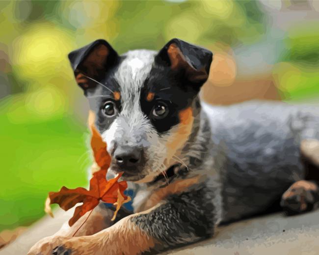 Cute Blue Cattle Dog Diamond Paintings