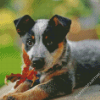 Cute Blue Cattle Dog Diamond Paintings