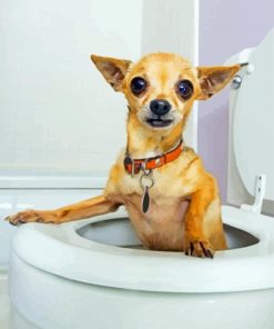 Dog Animal In Toilet Diamond Paintings