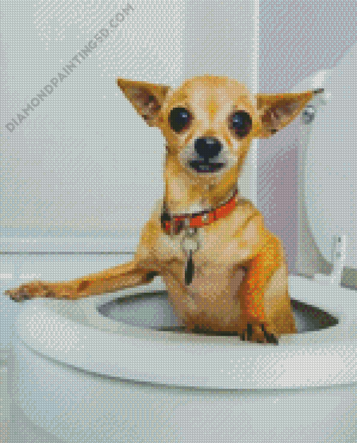 Dog Animal In Toilet Diamond Paintings