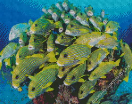 Fish School Diamond Paintings