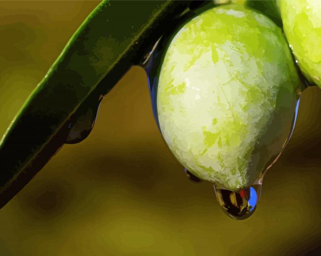 Green Olive With Water Drop Diamond Paintings