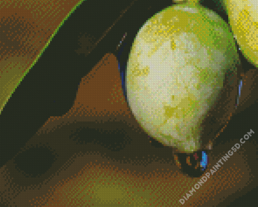 Green Olive With Water Drop Diamond Paintings