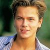 Handsome River Phoenix Diamond Paintings