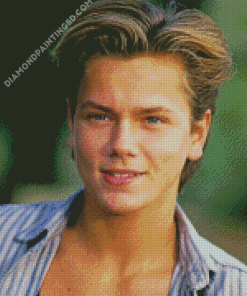 Handsome River Phoenix Diamond Paintings