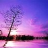 Lake Purple Night Diamond Paintings