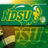 NDSU Football Diamond Paintings