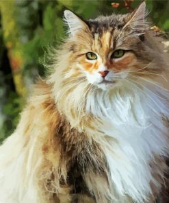 Norwegian Forest Cat Illustration Diamond Paintings