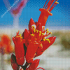 Orange Ocotillo Flowers Diamond Paintings